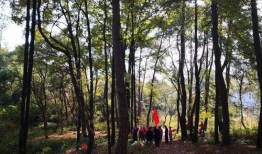 青草青草视频,探寻自然之美与生命力量