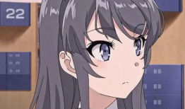 学姐动漫,穿越时空的青春回忆